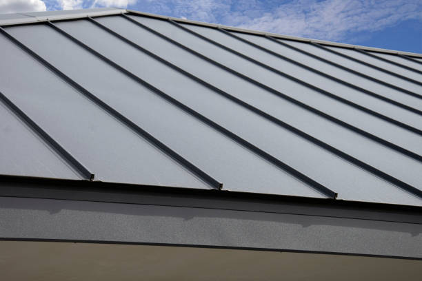 Best Solar Panel Roofing Installation  in Fairmead, CA